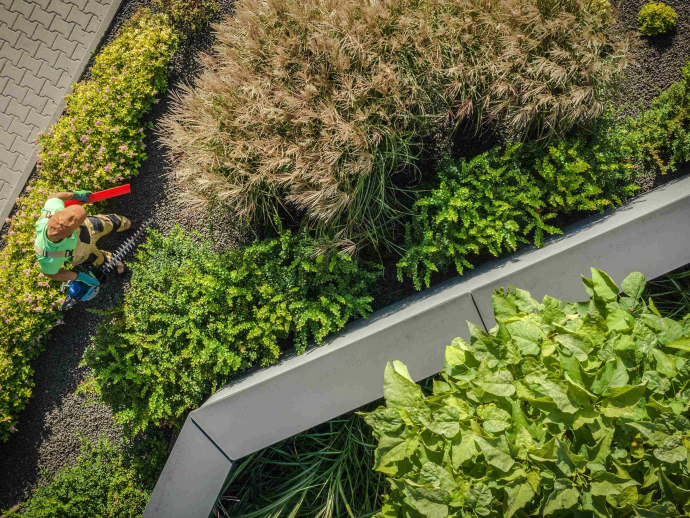 Weathering the Storm: How Green Roofs Handle DFW's Extreme Weather