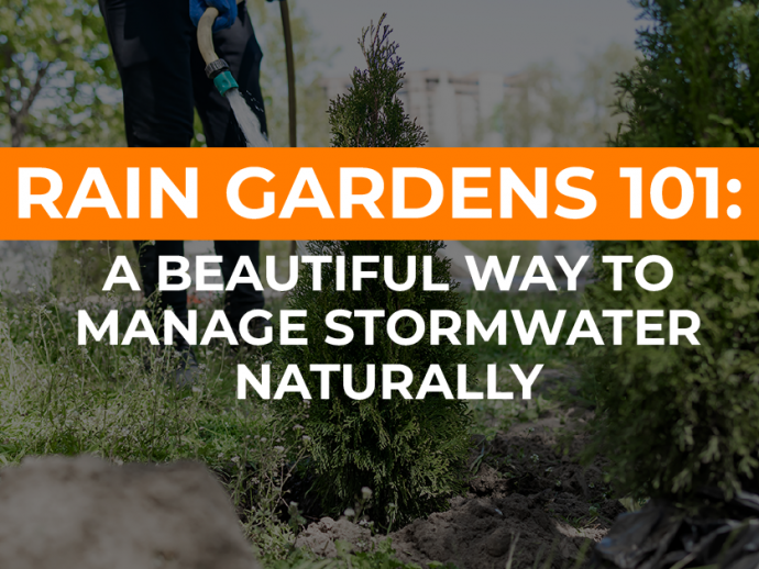 Rain Gardens 101: A Beautiful Way to Manage Stormwater Naturally